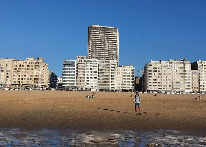 The Sea & View - Parking Optional דירה אוסטנדה